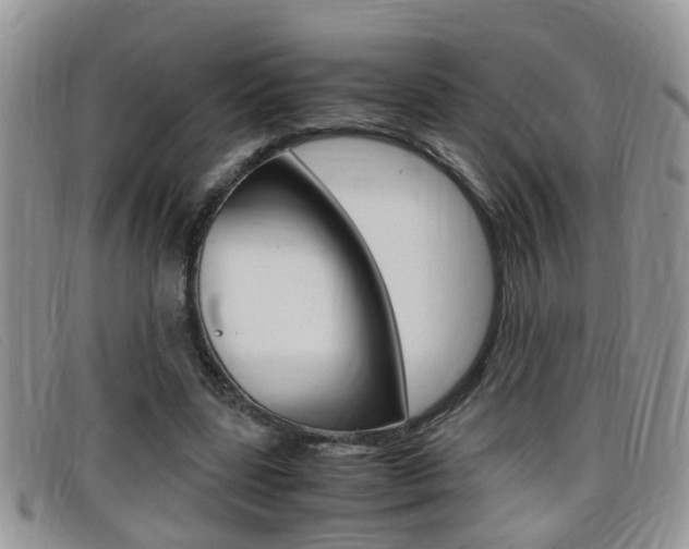 X0000099430539200805090729