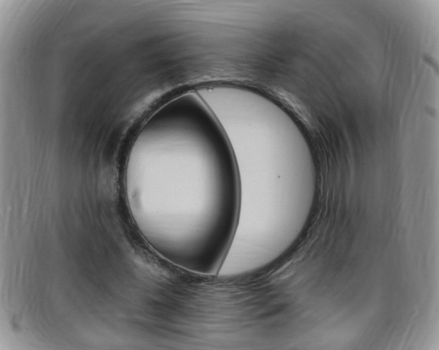 X0000099430540200805090729