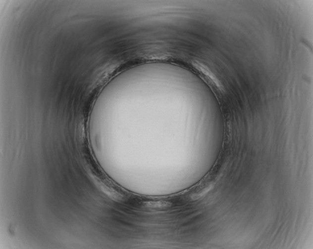 X0000099430541200805090729