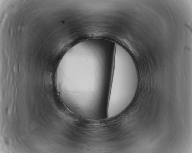 X0000099430543200805090729