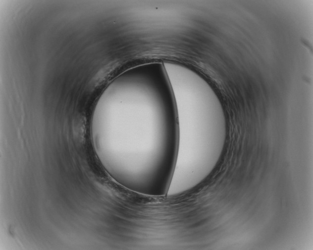 X0000099430544200805090729