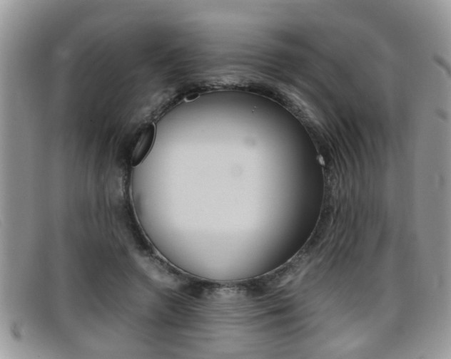 X0000099430546200805090729