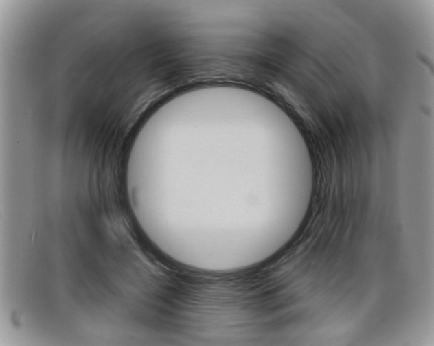 X0000099430548200805090729