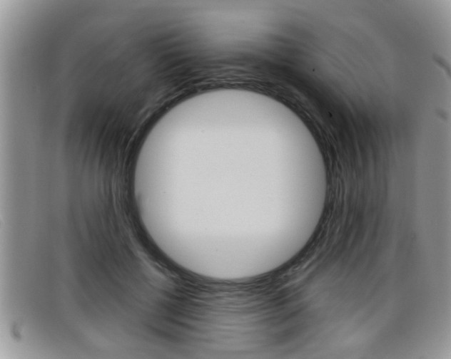 X0000099430552200805090729