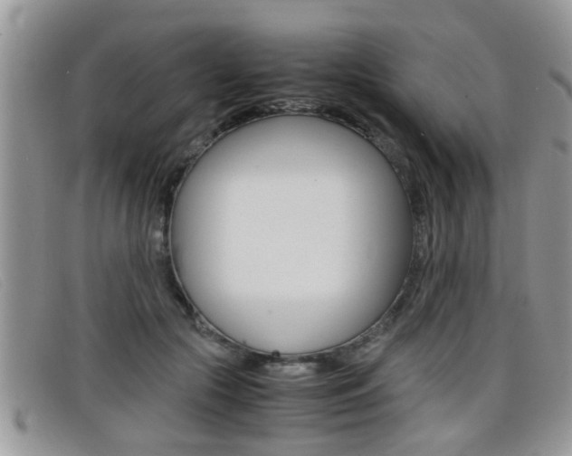 X0000099430553200805090729
