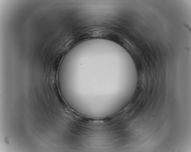 X0000099430554200805090729