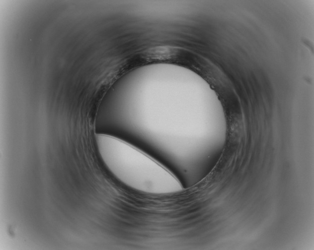 X0000099430555200805090729