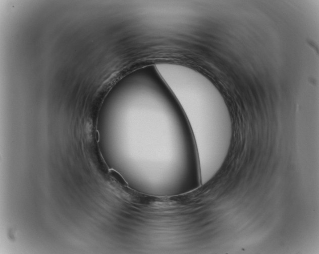 X0000099430556200805090729