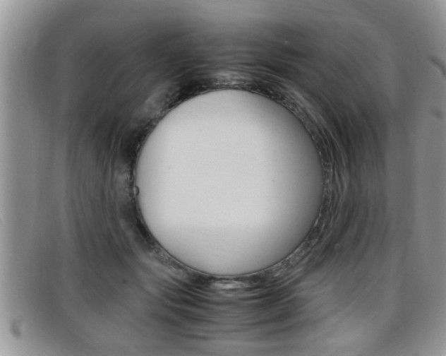 X0000099430557200805090729