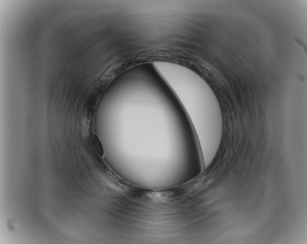 X0000099430558200805090729
