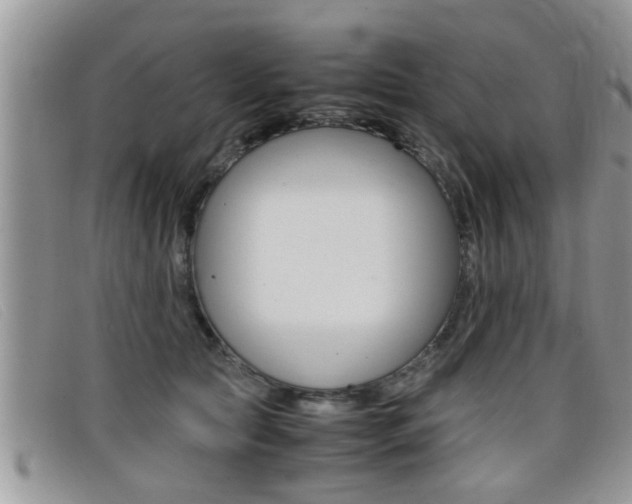 X0000099430561200805090729