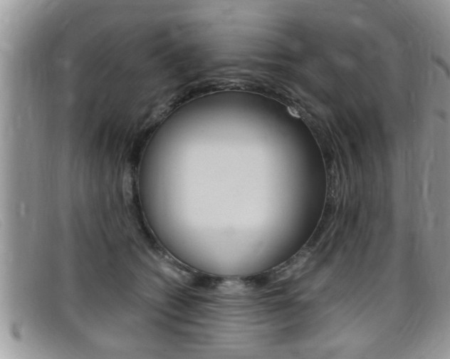 X0000099430562200805090729