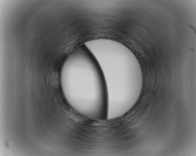 X0000099430563200805090729