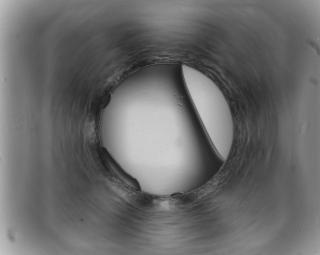 X0000099430564200805090729