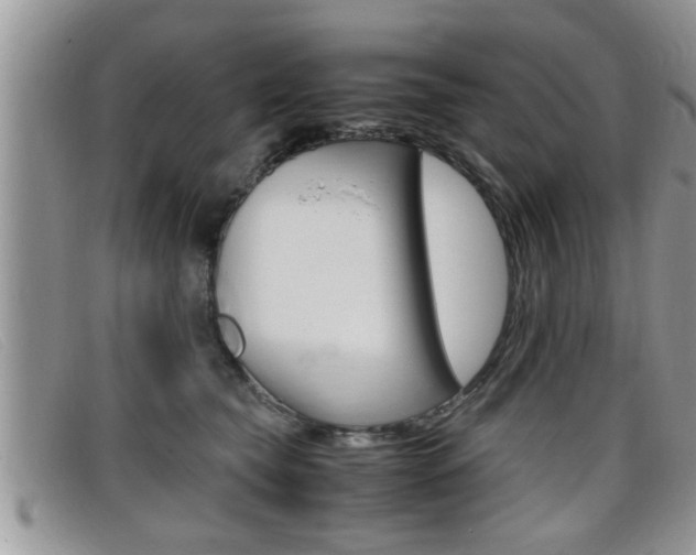 X0000099430565200805090729