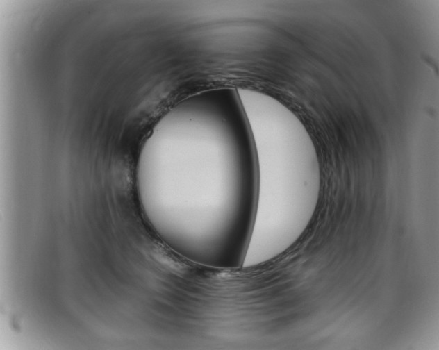 X0000099430566200805090729