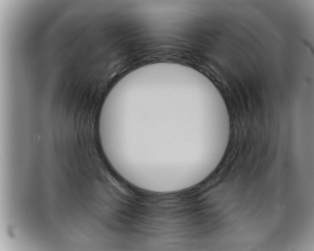 X0000099430568200805090729