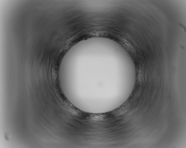 X0000099430569200805090729