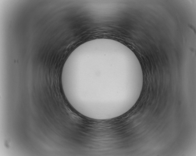 X0000099430570200805090729