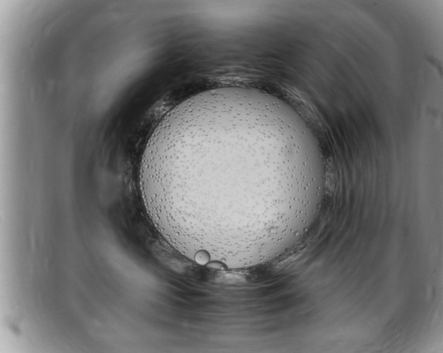 X0000099430573200805090729
