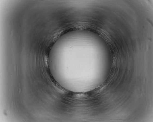 X0000099430575200805090729