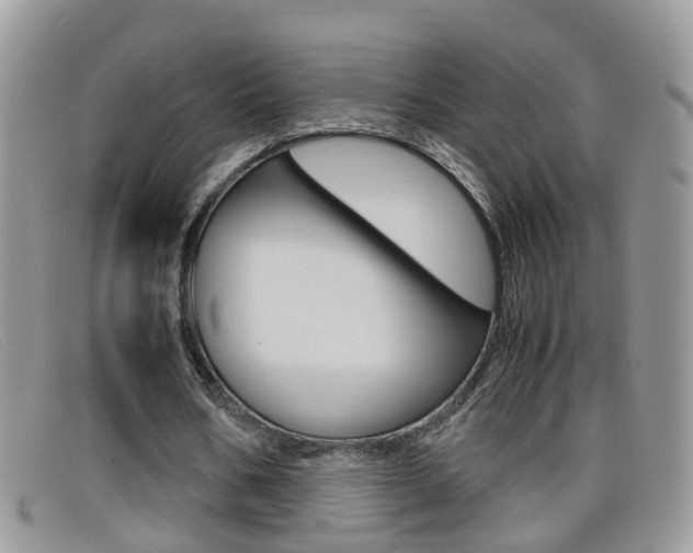 X0000099430578200805090728