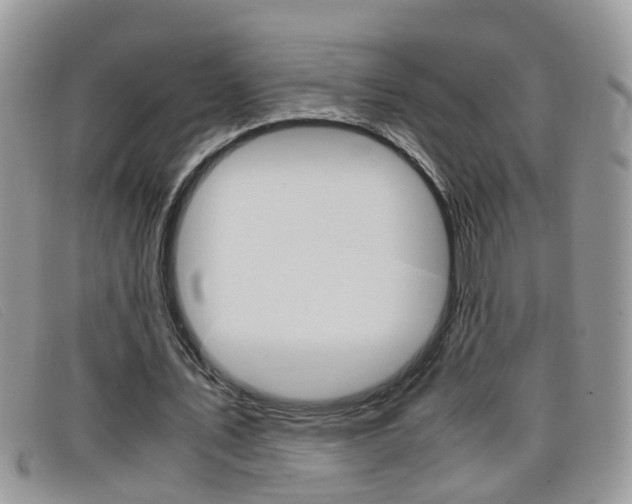 X0000099430579200805090728