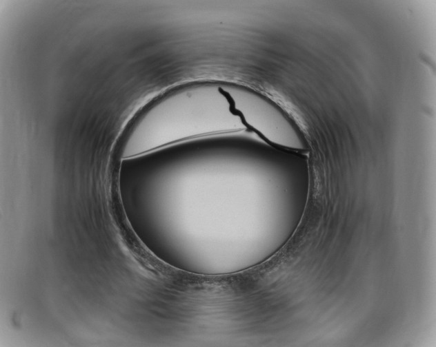 X0000099430580200805090728