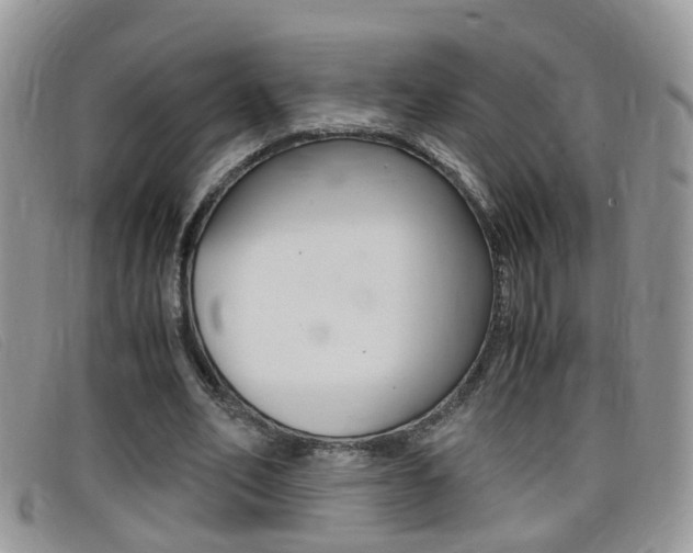 X0000099430582200805090728