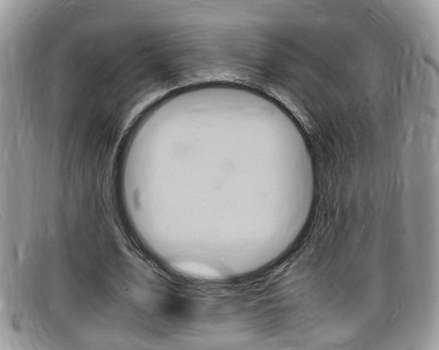 X0000099430583200805090728