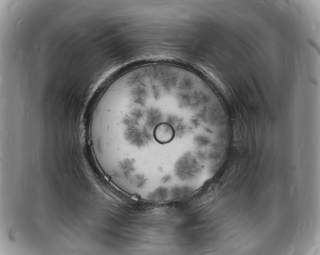X0000099430584200805090728