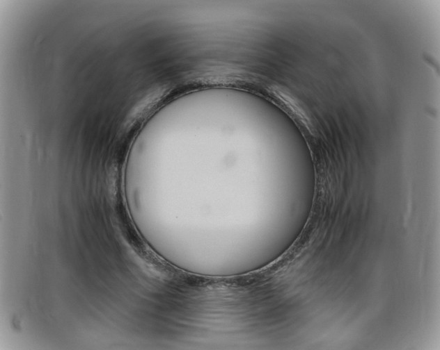 X0000099430586200805090728