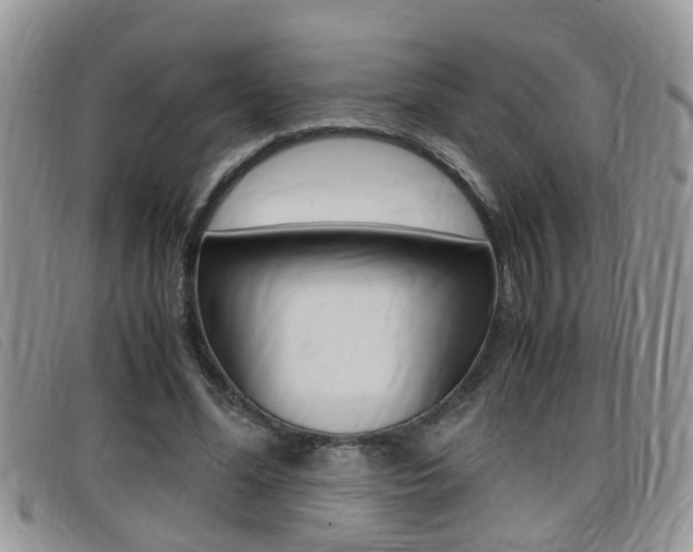 X0000099430588200805090728