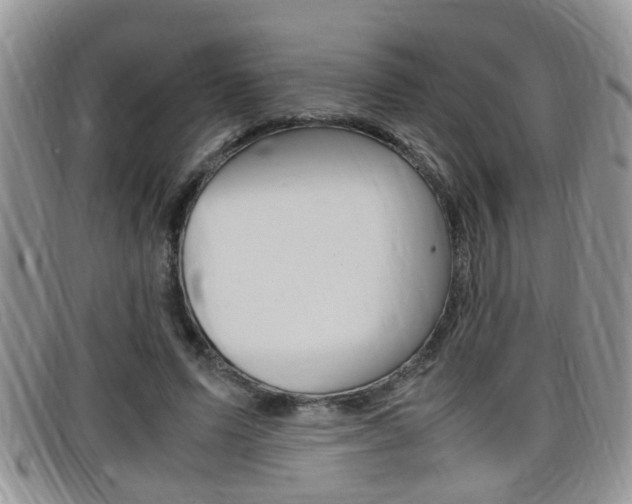 X0000099430591200805090728