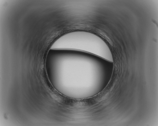 X0000099430593200805090728