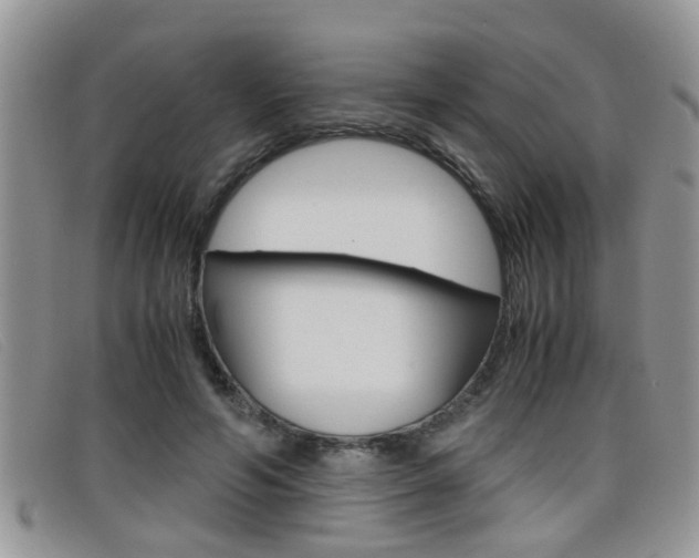 X0000099430594200805090728