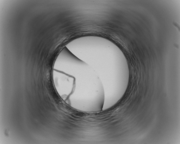 X0000099430595200805090728