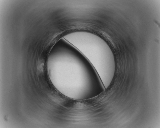 X0000099430596200805090728