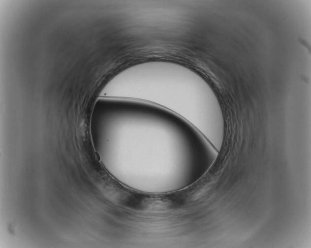 X0000099430597200805090728