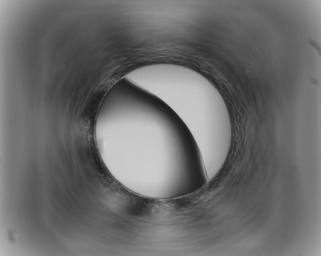 X0000099430599200805090728