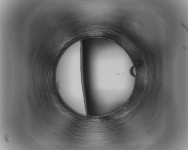 X0000099430600200805090728