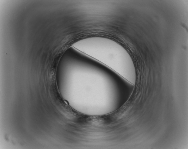 X0000099430601200805090728