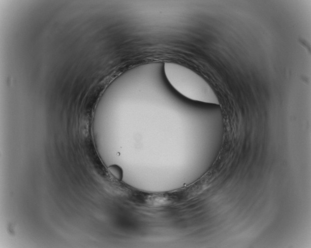 X0000099430602200805090728