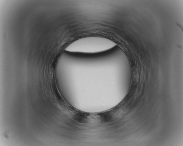 X0000099430603200805090728