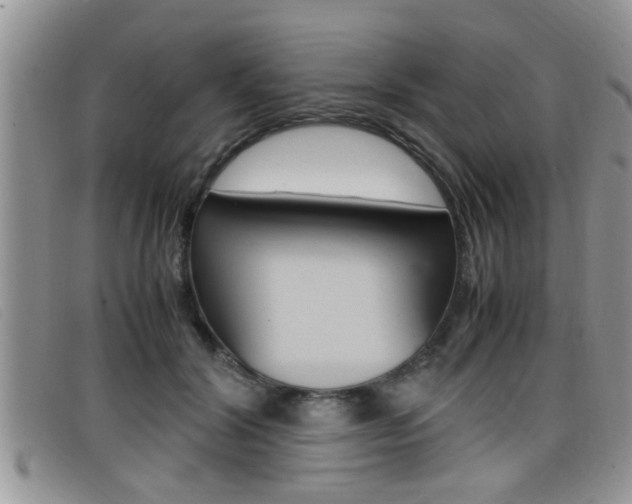 X0000099430604200805090728