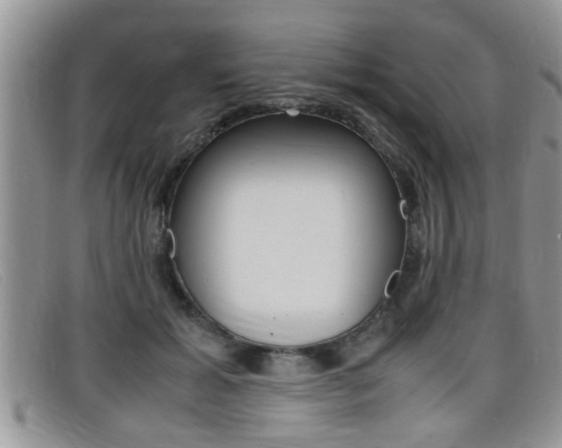 X0000099430605200805090728