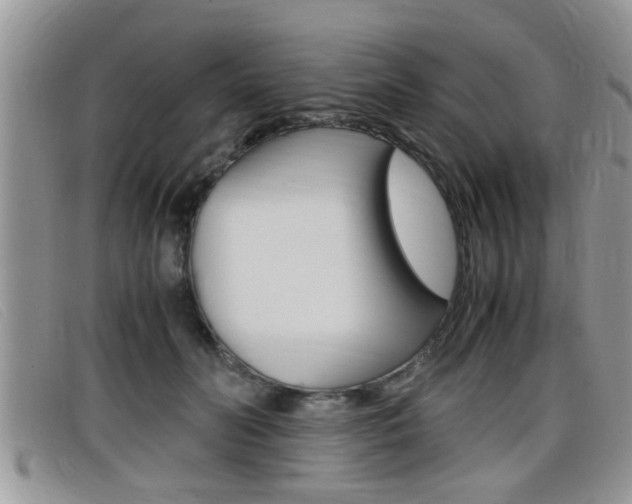 X0000099430606200805090728