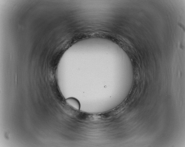 X0000099430607200805090728