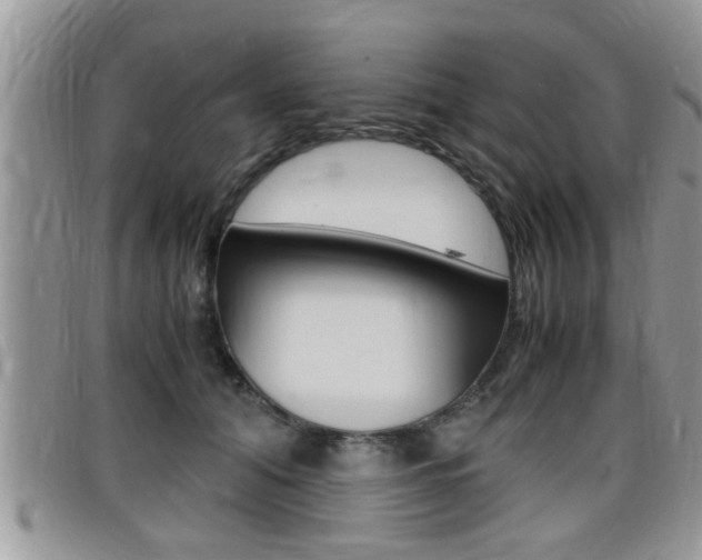 X0000099430608200805090728