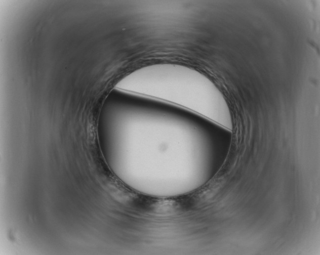 X0000099430609200805090728